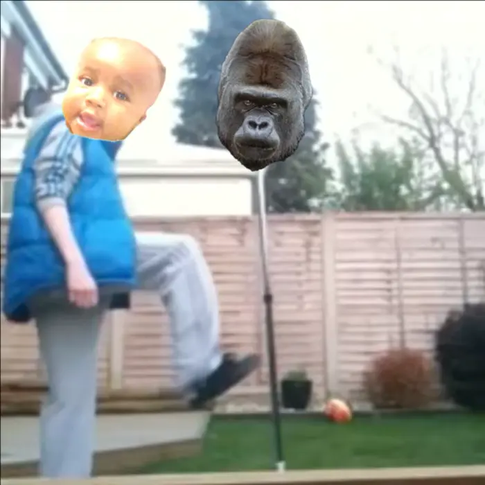 Piñata thumbnail image