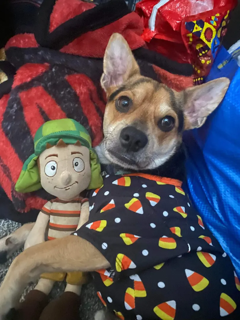 Piñata thumbnail image