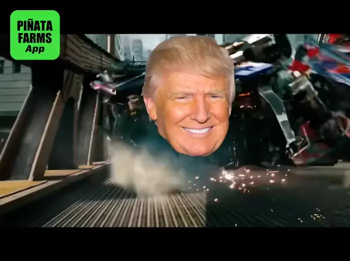 Piñata thumbnail image