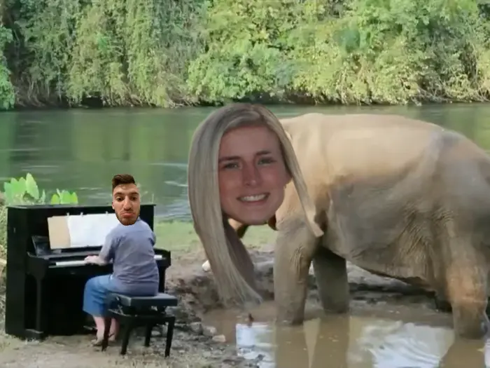 Piñata thumbnail image