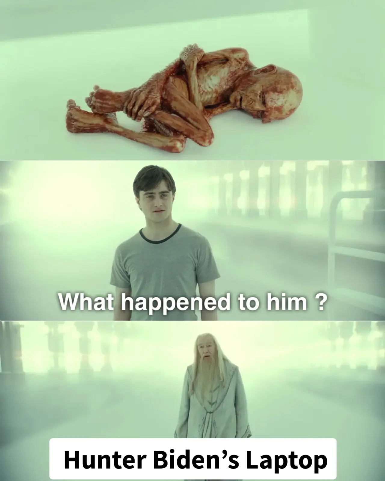 Meme image, titled: 'The sickest things #hunterbidenlaptop has will change you@rkanon73 @patriotwarrior1776 ', by user: rjpatriot