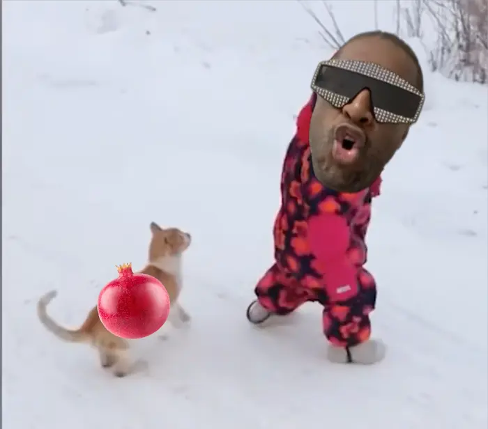 Cat RKO meme | image tagged in memes | made with Piñata Farms meme generator