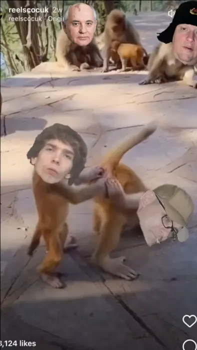 Piñata thumbnail image