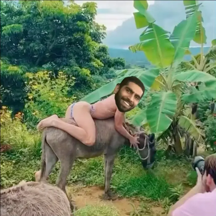 Piñata thumbnail image