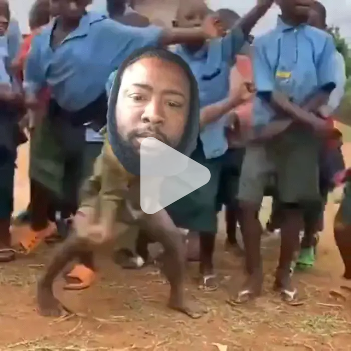 bust a move bihh video meme Piñata Farms The best meme generator