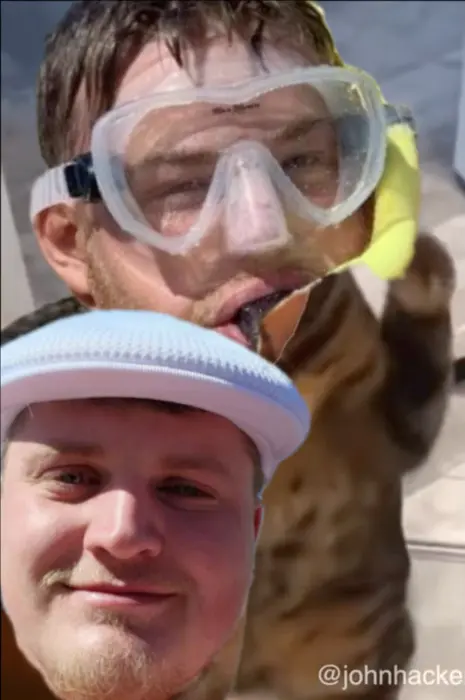 Will Smith vs. Chris Rock cat slap meme #Oscars (johnhackerla meme) meme | image tagged in memes | made with Piñata Farms meme generator