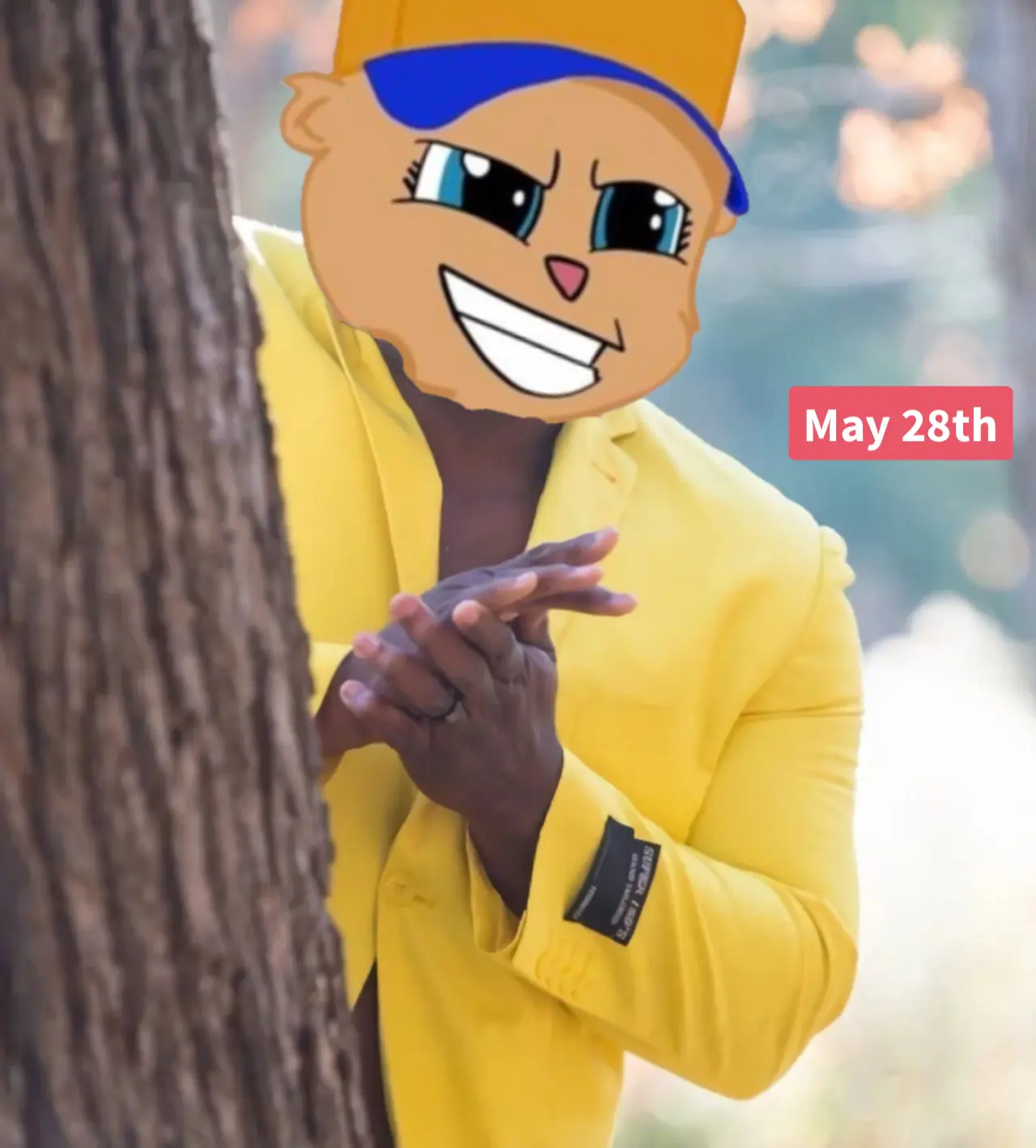 Piñata thumbnail image