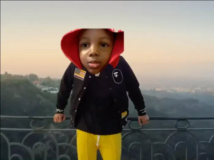 Piñata thumbnail image