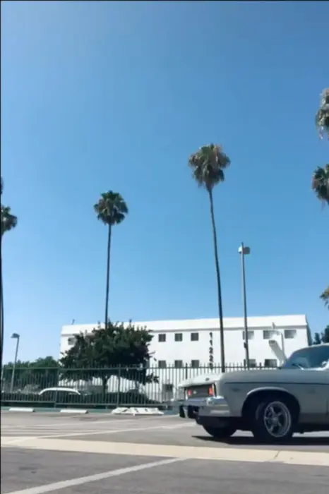 Interesting way to take off your jacket. meme | image tagged in memes | made with Piñata Farms meme generator