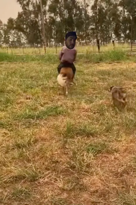 Piñata thumbnail image