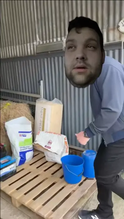 Piñata thumbnail image