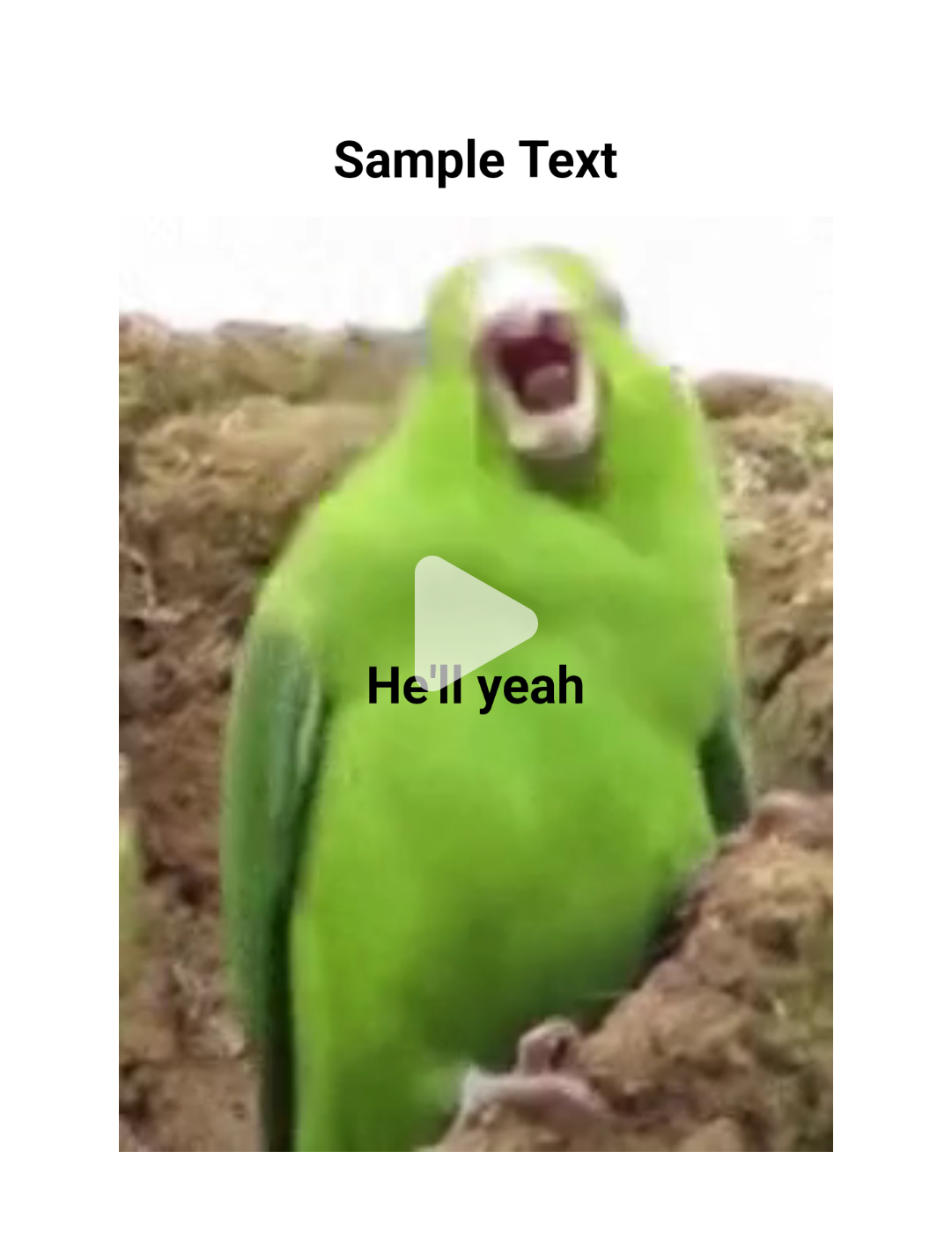Video Meme - Piñata Farms - The best meme generator and meme maker for ...