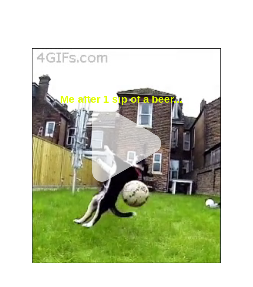 Video Meme - Piñata Farms - The best meme generator and meme maker for ...