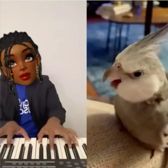 Piñata thumbnail image