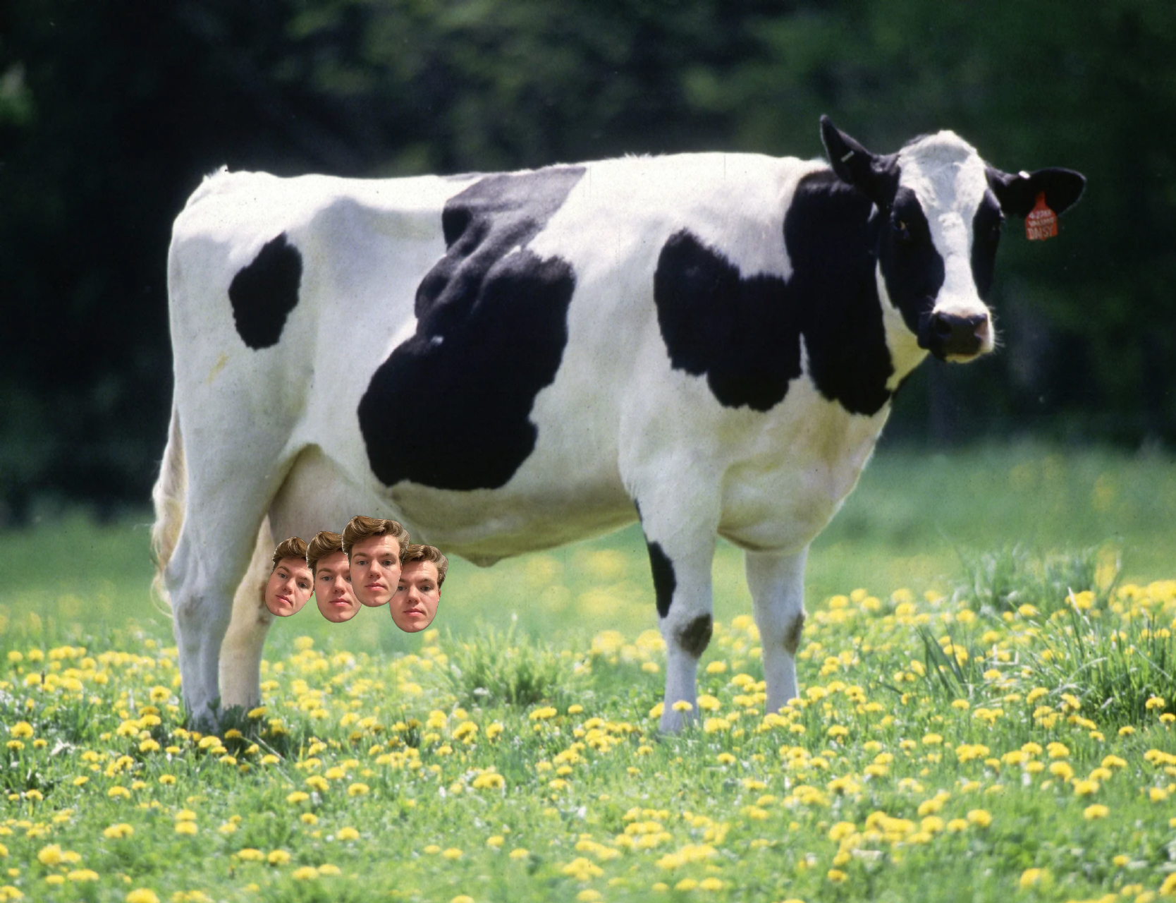 Cow meme | image tagged in memes | made with Piñata Farms meme generator