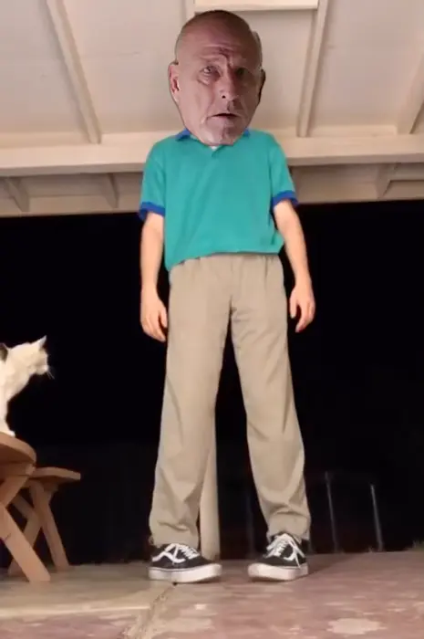 Piñata thumbnail image