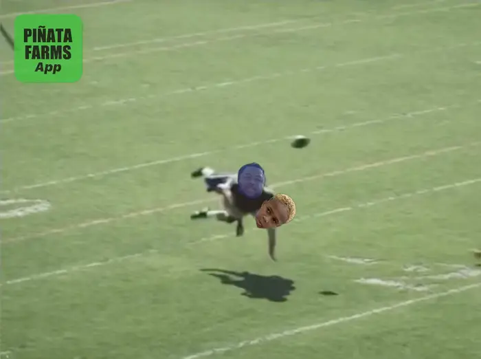 Piñata thumbnail image