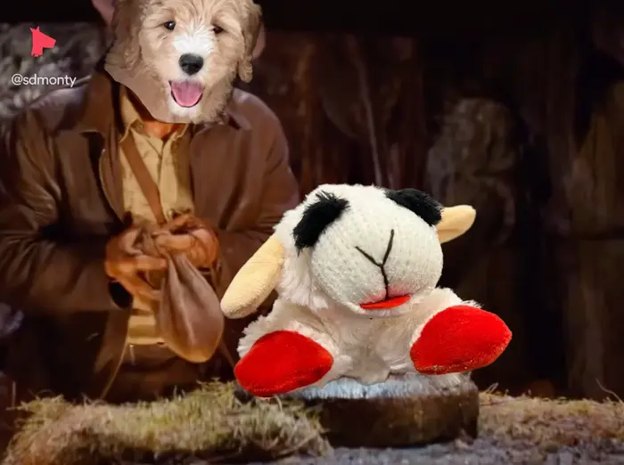 Piñata thumbnail image