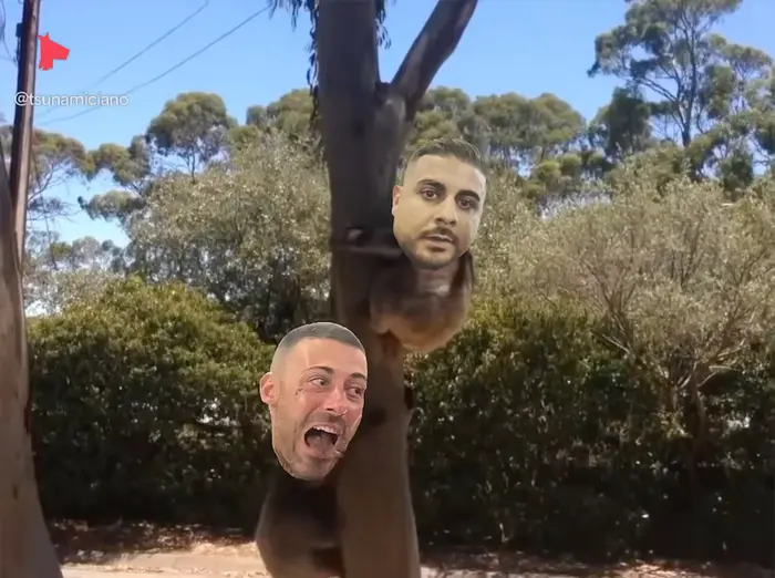 Piñata thumbnail image