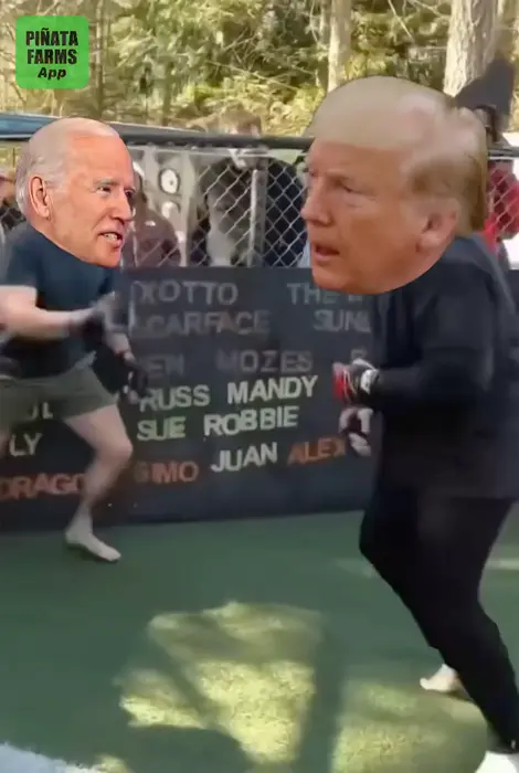 Piñata thumbnail image