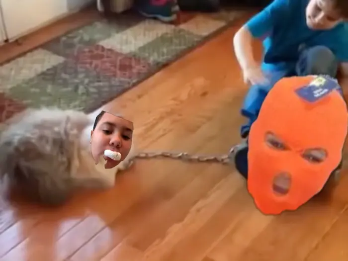 Piñata thumbnail image