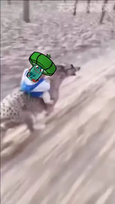 Piñata thumbnail image