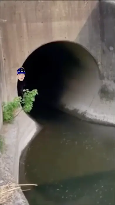 diving on bicycle meme | image tagged in memes | made with Piñata Farms meme generator