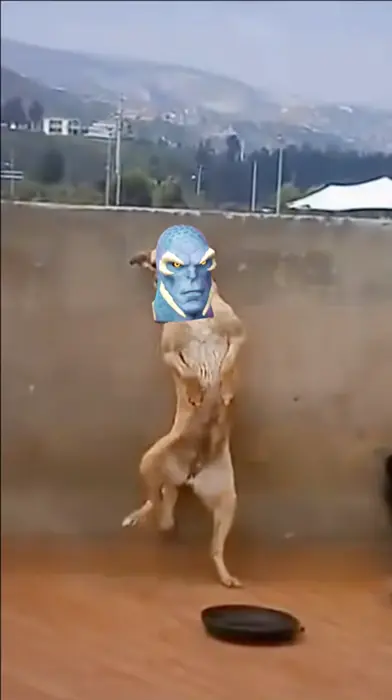 Piñata thumbnail image