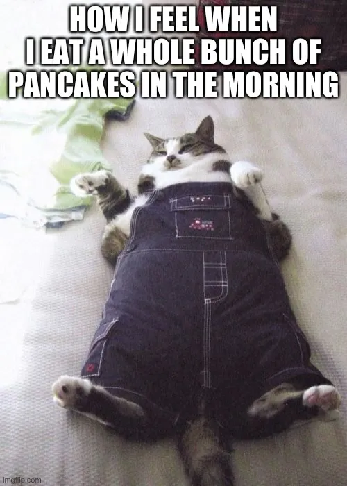 HOW I FEEL WHEN I EAT A WHOLE BUNCH OF PANCAKES IN THE MORNING meme