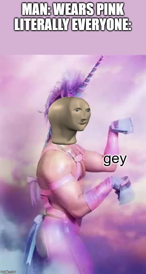 MAN: WEARS PINK LITERALLY EVERYONE:; gey meme - Piñata Farms - The best ...