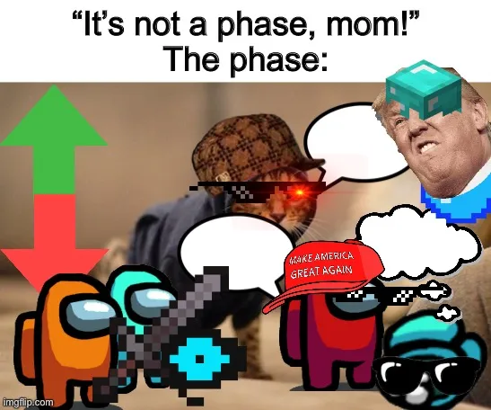 “It’s not a phase, mom!” The phase: meme - Piñata Farms - The best meme ...