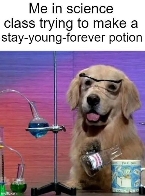 stay-young-forever potion; Me in science class trying to make a meme ...