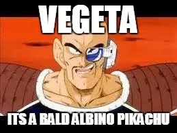VEGETA; ITS A BALD ALBINO PIKACHU meme - Piñata Farms - The best meme ...
