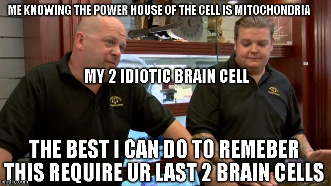 ME KNOWING THE POWER HOUSE OF THE CELL IS MITOCHONDRIA; MY 2 IDIOTIC ...