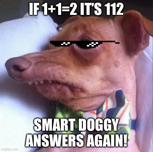 IF 1+1=2 IT’S 112; SMART DOGGY ANSWERS AGAIN! meme Piñata Farms The