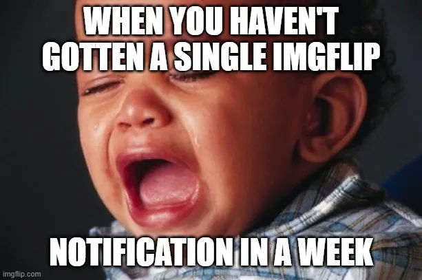 WHEN YOU HAVEN'T GOTTEN A SINGLE IMGFLIP; NOTIFICATION IN A WEEK meme ...