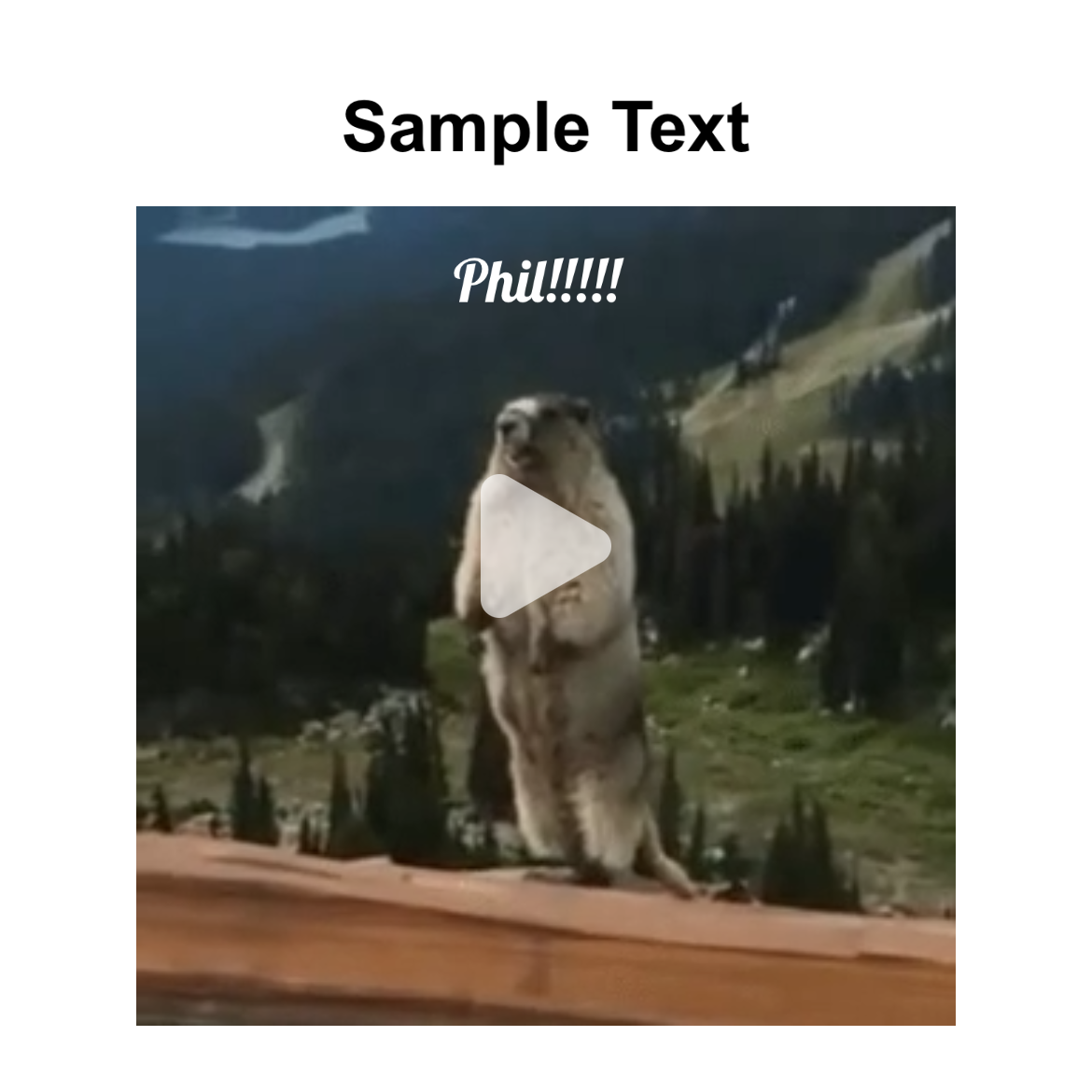 Video Meme - Piñata Farms - The best meme generator and meme maker for ...