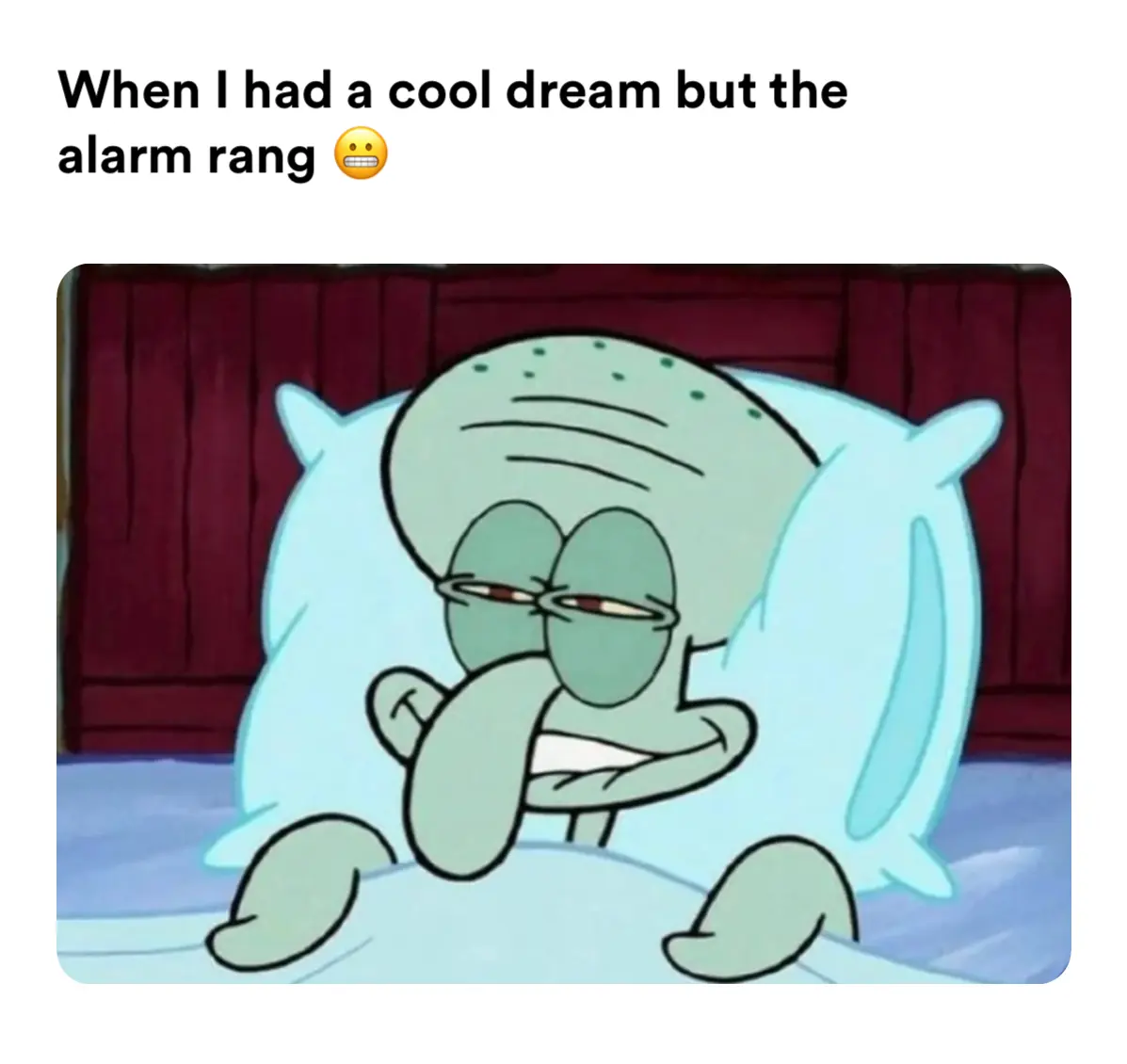When I had a cool dream but the alarm rang 😬 meme Piñata Farms The