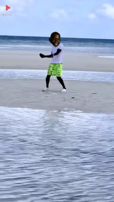 Piñata thumbnail image