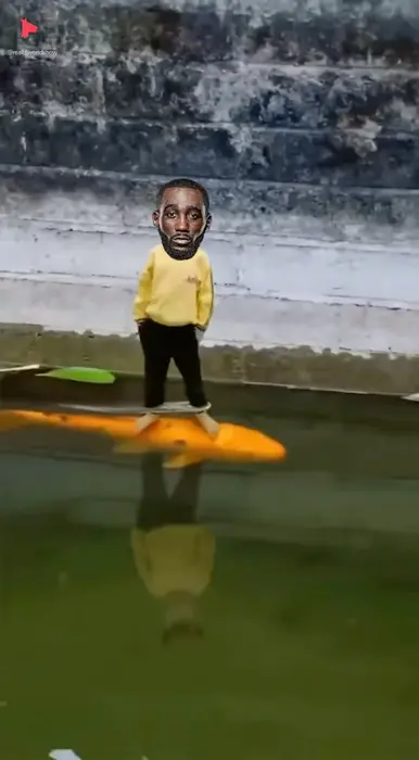 Piñata thumbnail image