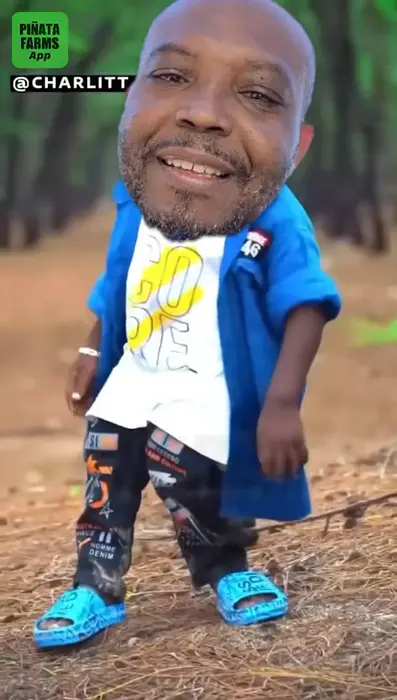 Piñata thumbnail image