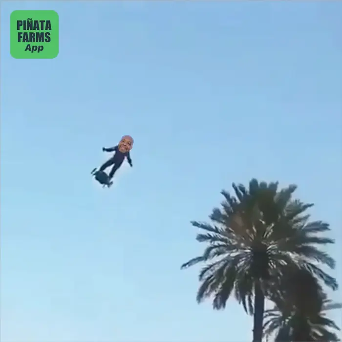 Piñata thumbnail image