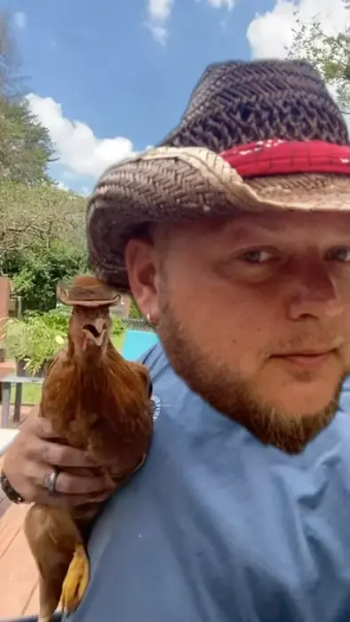 Piñata thumbnail image