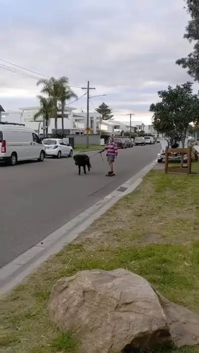 Walking the pony meme | Me when #dogecoin hits a dollar and I finally get my tiny pony ^_^ | image tagged in memes: dogecoin | made with Piñata Farms meme generator