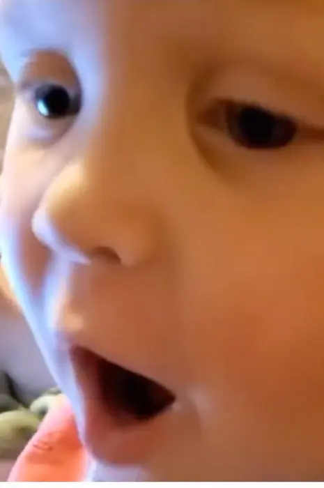 Baby is shocked, cause dog grabs a bird meme | image tagged in memes | made with Piñata Farms meme generator