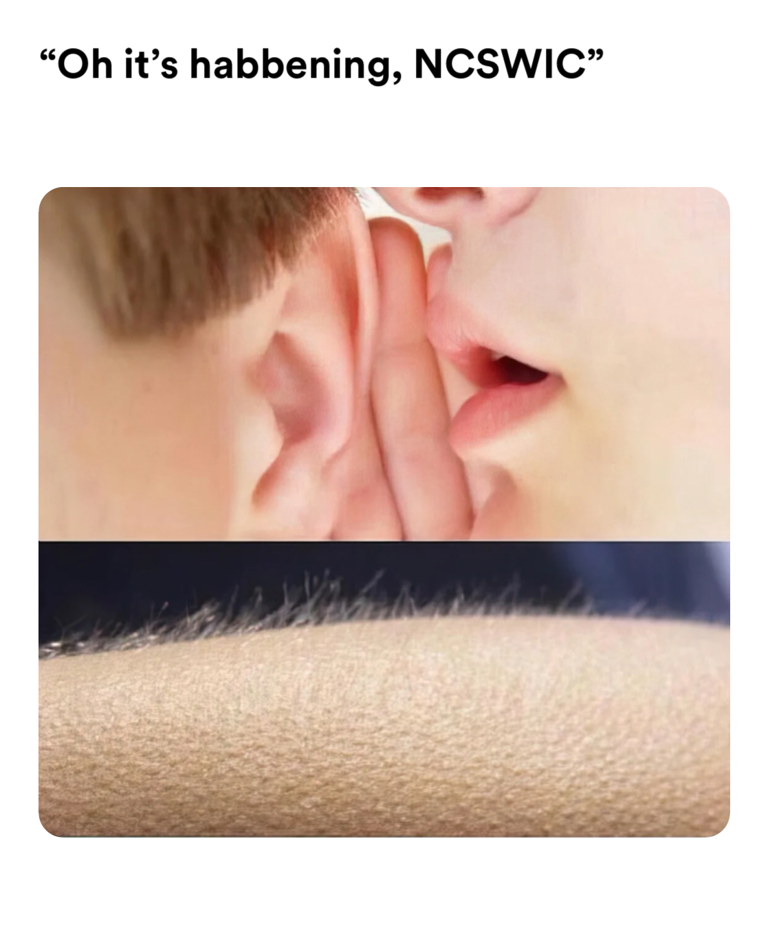 goosebumps meme | “Oh it’s habbening, NCSWIC” | image tagged in memes: habbenings, ncswic | made with Piñata Farms meme generator
