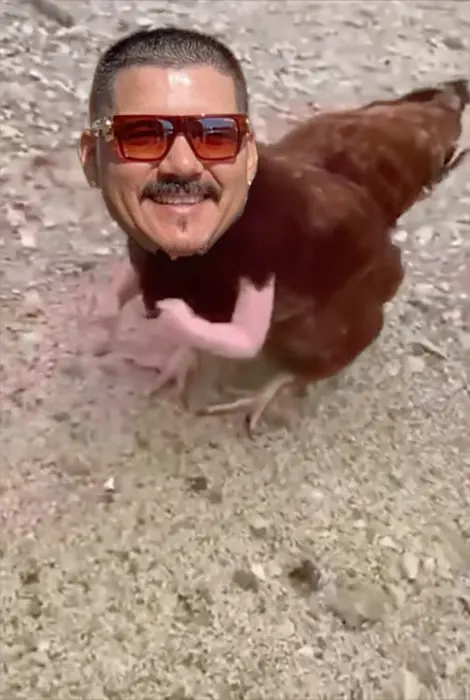 Piñata thumbnail image