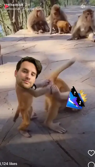 Piñata thumbnail image