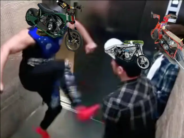 Piñata thumbnail image