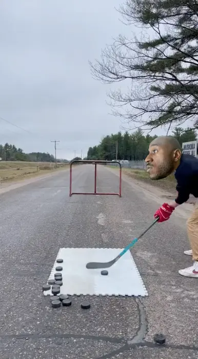 An incredible hockey player shows skills meme | image tagged in memes | made with Piñata Farms meme generator